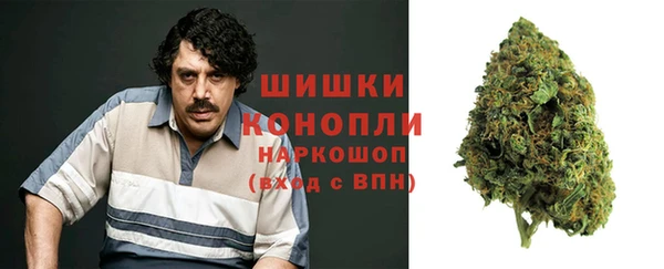 винт Белокуриха