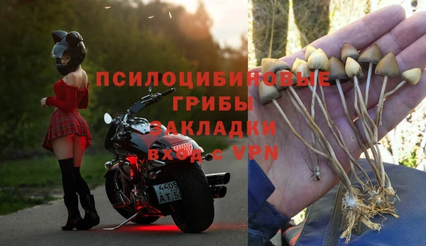 винт Белокуриха