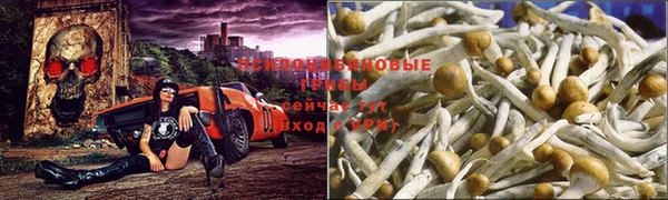 винт Белокуриха
