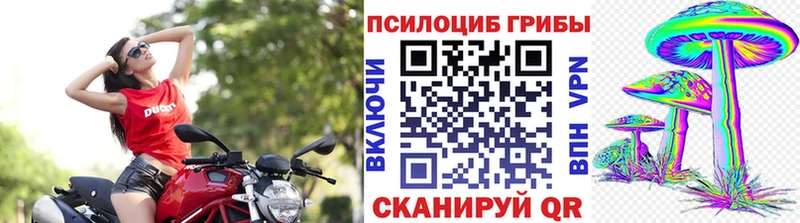 ОМГ ОМГ как войти  продажа наркотиков  Выкса  Псилоцибиновые грибы мухоморы 